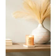 Charger l'image dans la galerie, Jarre moyenne Amour + Passion (Pamplemousse mangue) - Chesapeake Bay