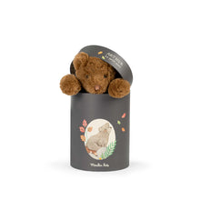 Charger l'image dans la galerie, Arthur L'ours Arthur et Louison - Moulin Roty