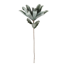 Charger l'image dans la galerie, Fleur Tubai vert d'eau H 97 cm - Côté Table