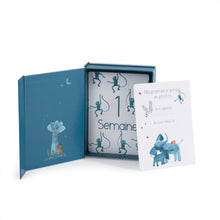 Charger l'image dans la galerie, Cartes Mes 12 premiers mois Sous mon Baobab - Moulin Roty