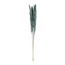 Charger l'image dans la galerie, Fleurs Pampas Emeraude H 75 cm végétal * 6 tiges - Sema Design