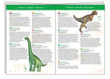 Charger l'image dans la galerie, Puzzle d'observation Les dinosaures 100 pièces - Djeco